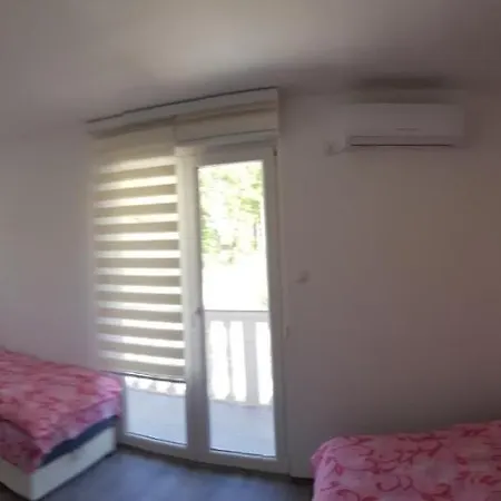 Hani تريبينيي