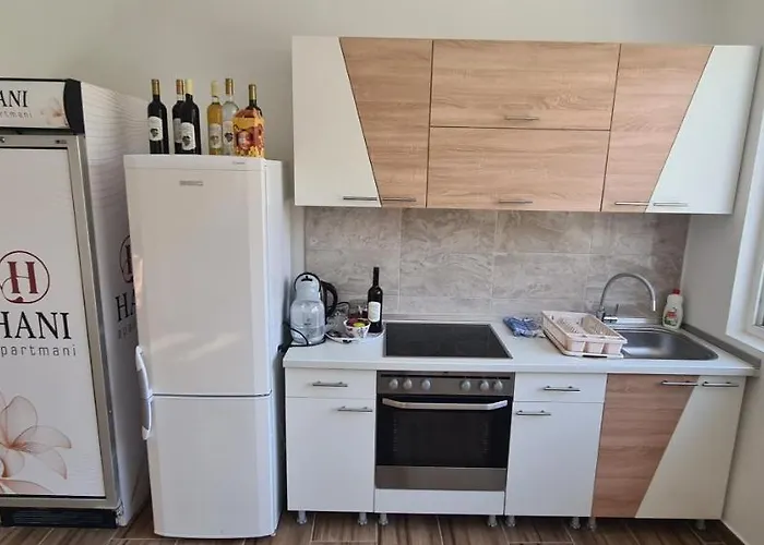 公寓 Hani 特雷比涅